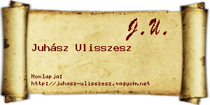 Juhász Ulisszesz névjegykártya