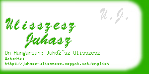 ulisszesz juhasz business card